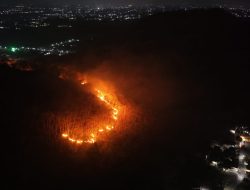 Kebakaran di Gunung Gombak Ponorogo Hanguskan Sekitar 15 Hektare Hutan dan Lahan