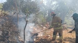 Bakar Sampah Tanpa Pengawasan, Kebun Dua Hektare di Tarokan Kediri Terbakar