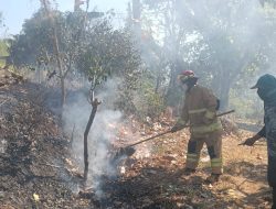Bakar Sampah Tanpa Pengawasan, Kebun Dua Hektare di Tarokan Kediri Terbakar