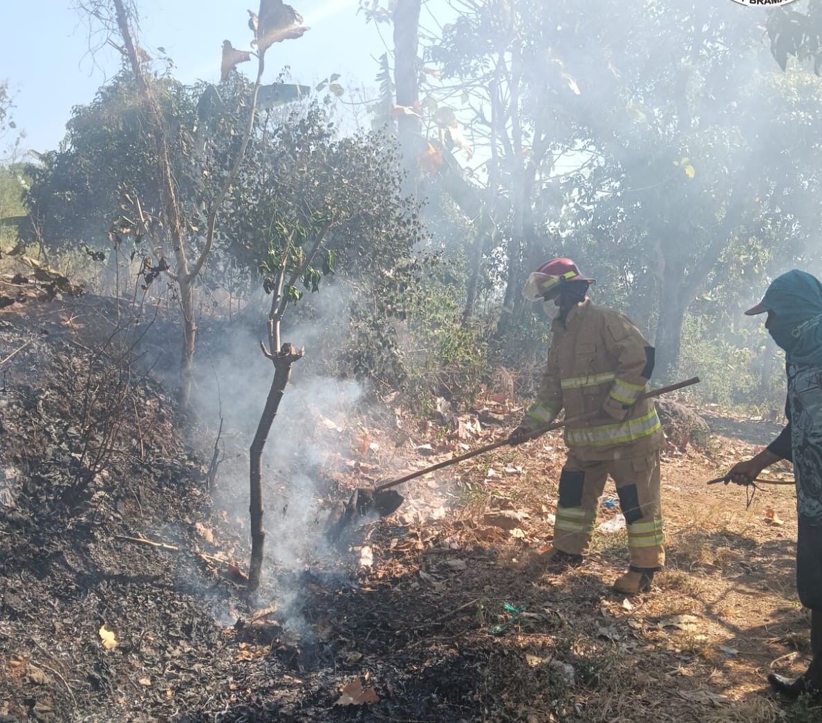 Bakar Sampah Tanpa Pengawasan, Kebun Dua Hektare di Tarokan Kediri Terbakar