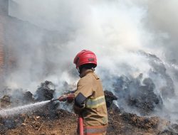 Sampah Dibakar Tanpa Pengawasan, Tumpukan Sepah Tebu di Ngadiluwih Kediri Terbakar