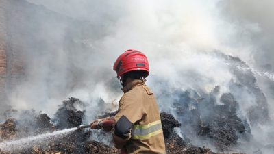 Sampah Dibakar Tanpa Pengawasan, Tumpukan Sepah Tebu di Ngadiluwih Kediri Terbakar
