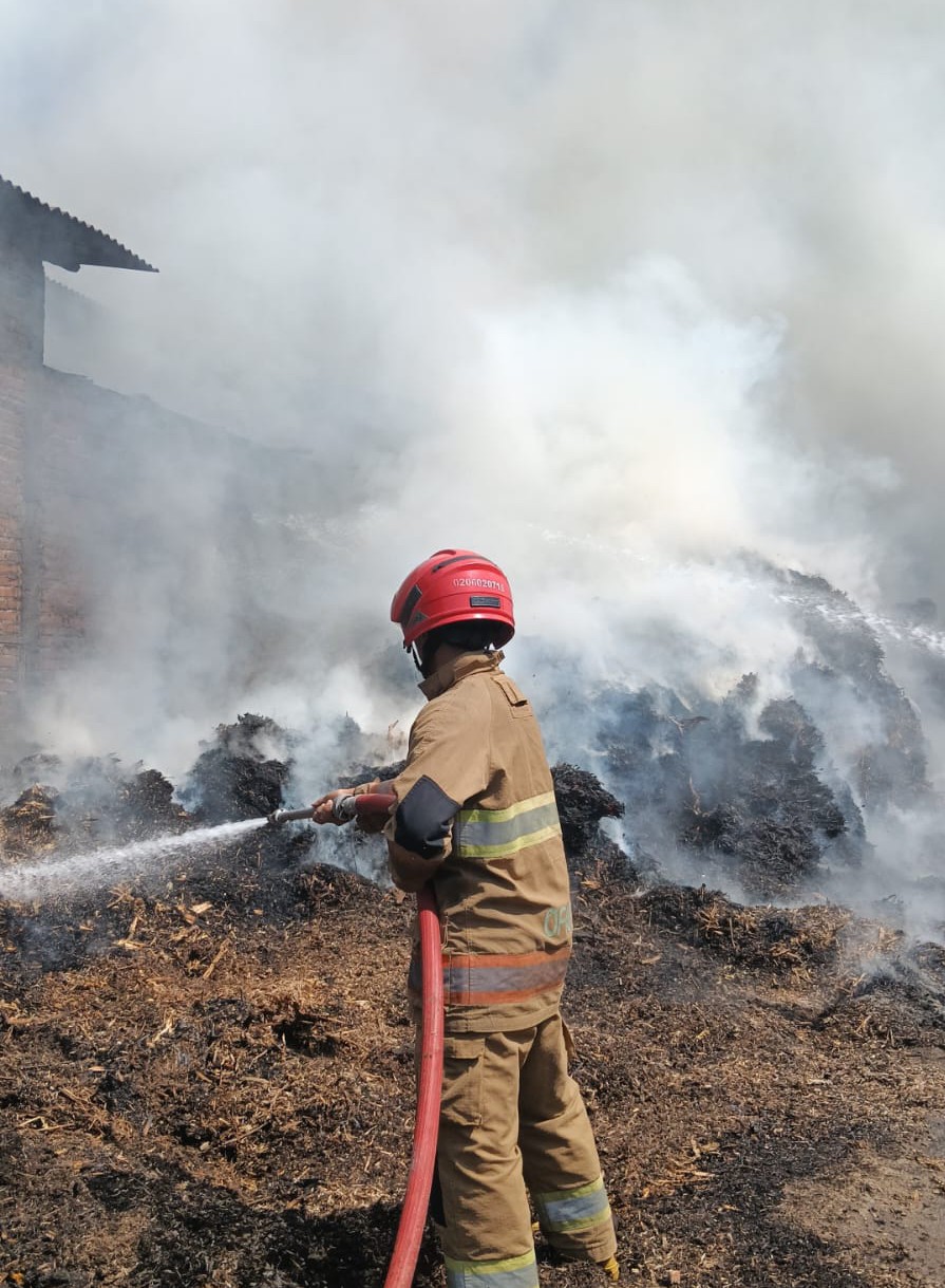 Sampah Dibakar Tanpa Pengawasan, Tumpukan Sepah Tebu di Ngadiluwih Kediri Terbakar