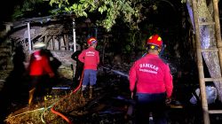 Dalam Semalam Dua Kandang Ternak di Tulungagung Terbakar, Kerugian Ditaksir Capai Rp400 Juta