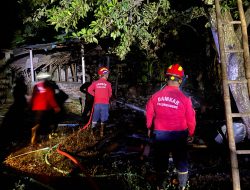 Dalam Semalam Dua Kandang Ternak di Tulungagung Terbakar, Kerugian Ditaksir Capai Rp400 Juta