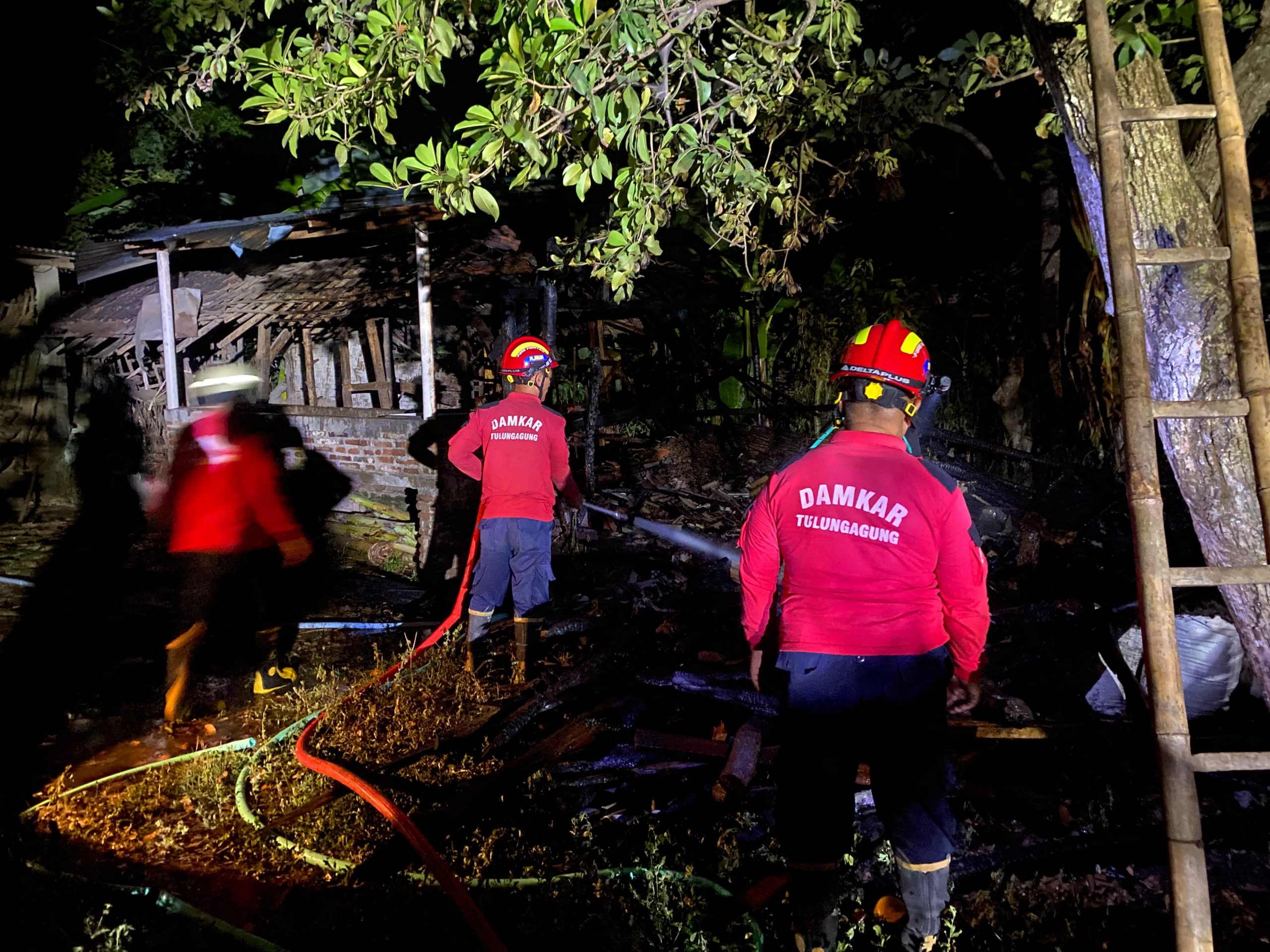 Dalam Semalam Dua Kandang Ternak di Tulungagung Terbakar, Kerugian Ditaksir Capai Rp400 Juta