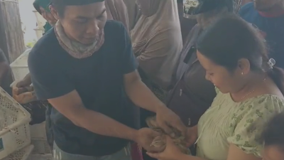 Harga Telur Anjlok, Peternak di Blitar Bagikan 2.000 Ekor Burung Puyuh Secara Gratis