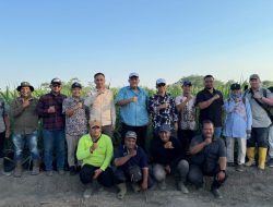 Kabag Operasional II MKSO Tinjau Kebun Dhoho Kediri, Evaluasi Kinerja Operasional di Musim Panen Tebu