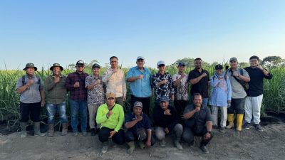 Kabag Operasional II MKSO Tinjau Kebun Dhoho Kediri, Evaluasi Kinerja Operasional di Musim Panen Tebu