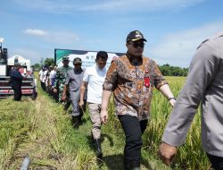 Mas Dhito Gandeng Pertamina dan PLN Jaga Pengairan Lahan Pertanian Saat Musim Kemarau