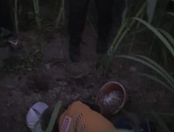 Petani Lansia Ditemukan Meninggal di Sawah, Diduga Akibat Serangan Jantung dan Sesak Napas