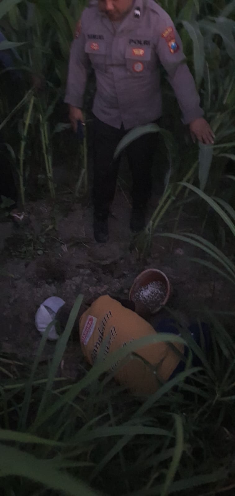 Petani Lansia Ditemukan Meninggal di Sawah, Diduga Akibat Serangan Jantung dan Sesak Napas