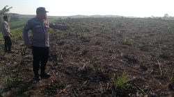Nenek di Blitar Tewas Terbakar Saat Bakar Daun Tebu, Diduga Terjebak Kobaran Api