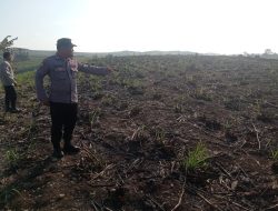 Nenek di Blitar Tewas Terbakar Saat Bakar Daun Tebu, Diduga Terjebak Kobaran Api