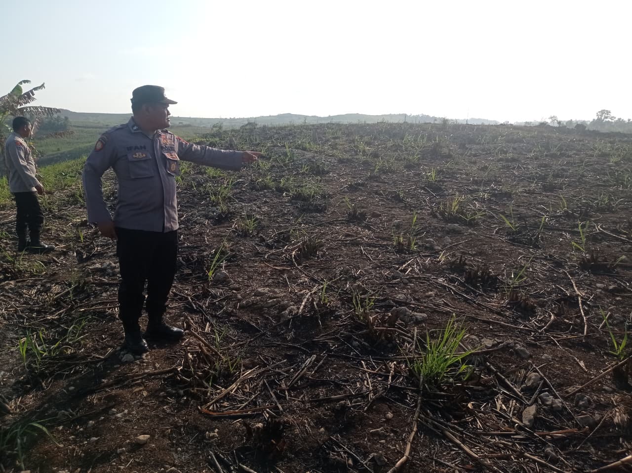 Nenek di Blitar Tewas Terbakar Saat Bakar Daun Tebu, Diduga Terjebak Kobaran Api