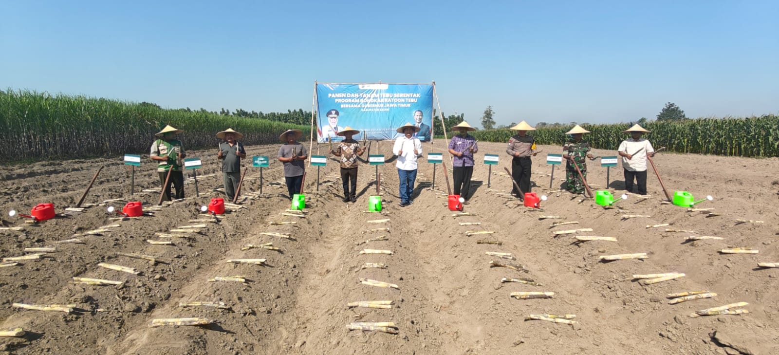PG Pesantren Baru Salurkan Bantuan Bibit Gratis, Dorong Produktivitas Petani Tebu Lewat Program Bongkar Ratoon