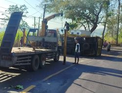 Truk Muatan Anak Ayam Terguling usai Tabrak Pohon Asam di Blitar, Kernet Alami Luka Ringan
