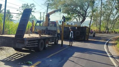 Truk Muatan Anak Ayam Terguling usai Tabrak Pohon Asam di Blitar, Kernet Alami Luka Ringan
