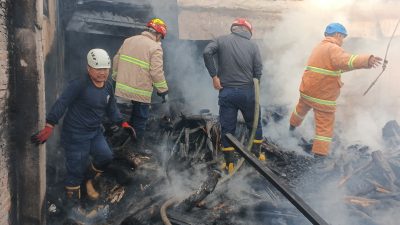 Kandang Ayam di Blitar Terbakar, 450 Ekor Ayam Mati Terpanggang, Kerugian Capai Rp100 Juta