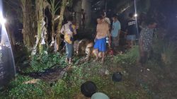 Ditinggal Tahlilan, Kandang Sapi di Babat Terbakar, Empat Ekor Sapi dan Dua Motor Hangus