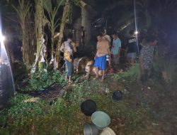 Ditinggal Tahlilan, Kandang Sapi di Babat Terbakar, Empat Ekor Sapi dan Dua Motor Hangus