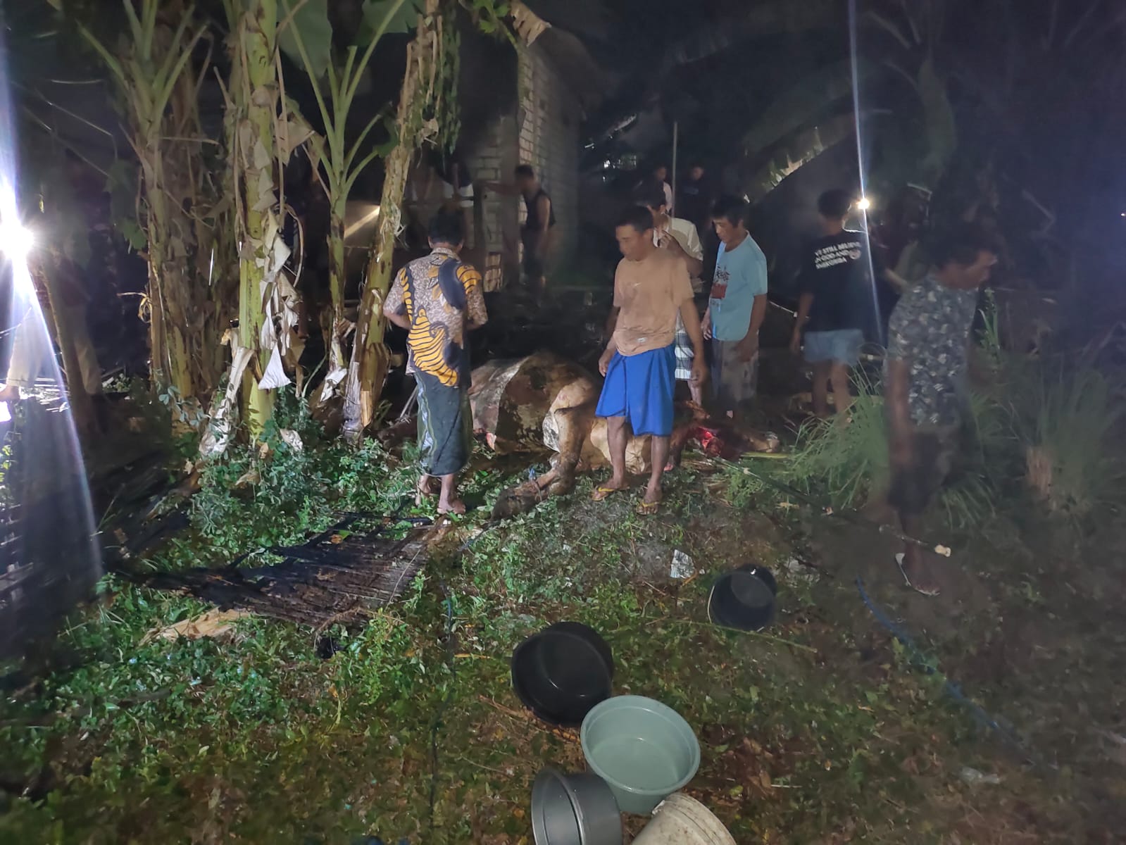 Ditinggal Tahlilan, Kandang Sapi di Babat Terbakar, Empat Ekor Sapi dan Dua Motor Hangus