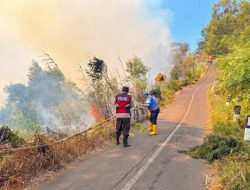 Api Karhutla Bromo Merembet ke Poncokusumo, Polres Malang Turunkan Personel Gabungan