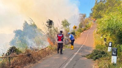Api Karhutla Bromo Merembet ke Poncokusumo, Polres Malang Turunkan Personel Gabungan