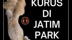 Viral Foto Singa Kurus di Jatim Park 2, Kondisi Satwa Jadi Sorotan