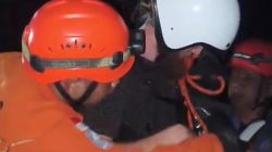 Paraglider Asal Rusia Tersangkut di Pohon Pinus, Tim SAR Evakuasi dengan Tali