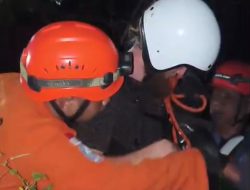 Paraglider Asal Rusia Tersangkut di Pohon Pinus, Tim SAR Evakuasi dengan Tali