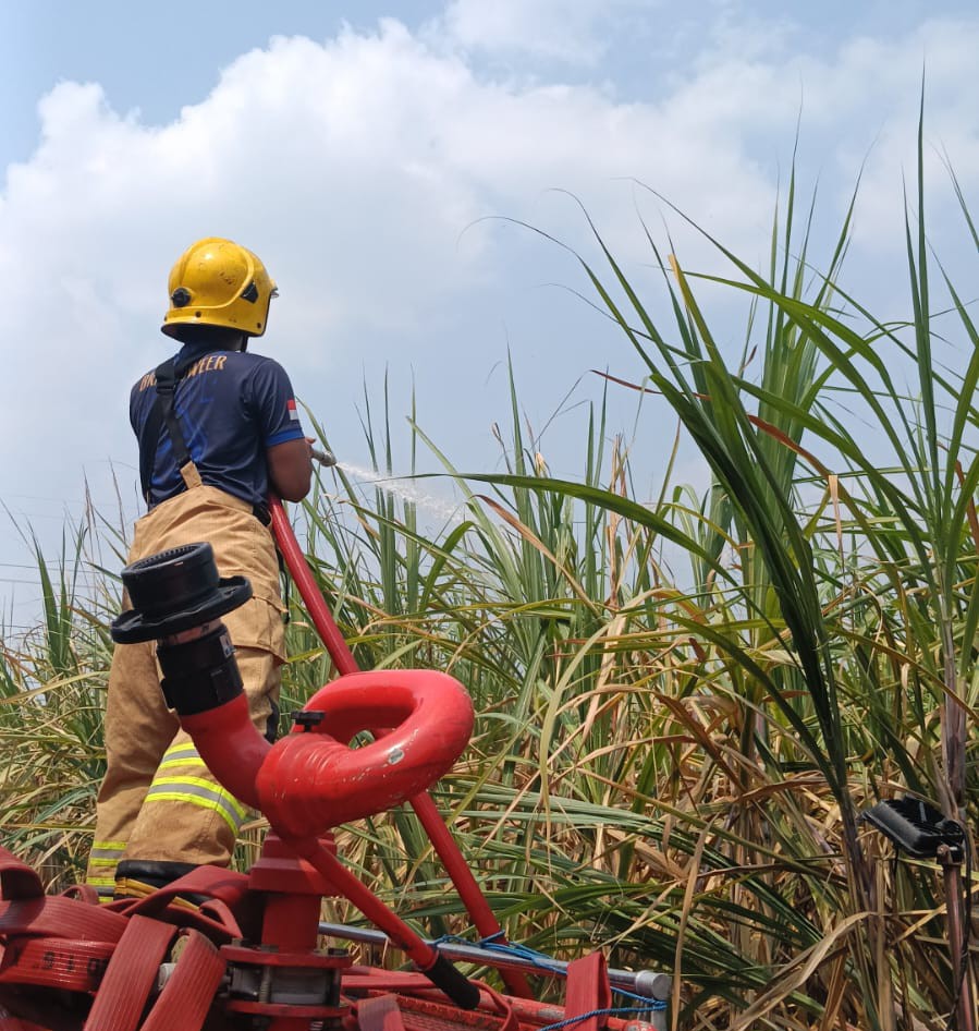 Kebun Tebu Terbakar di Rembang Ngadiluwih, Kerugian Ditaksir Capai Rp50 Juta