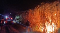 Lahan Tebu Seluas 4 Hektare di Kunjang Kediri Terbakar, Kerugian Capai Rp105 Juta