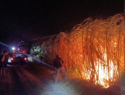 Lahan Tebu Seluas 4 Hektare di Kunjang Kediri Terbakar, Kerugian Capai Rp105 Juta