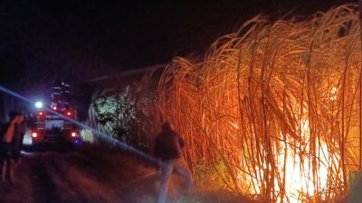 Lahan Tebu Seluas 4 Hektare di Kunjang Kediri Terbakar, Kerugian Capai Rp105 Juta