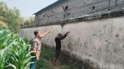 Pencurian Jagung Berulang di Loceret Terungkap, Empat Terduga Pelaku Diamankan