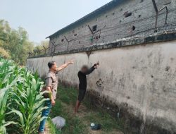 Pencurian Jagung Berulang di Loceret Terungkap, Empat Terduga Pelaku Diamankan