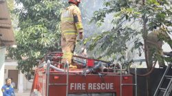 Bakar Tunggak Kayu Ditinggal Pergi, Tumpukan Kayu di Mojo Ikut Terbakar