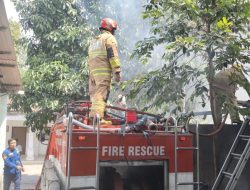 Bakar Tunggak Kayu Ditinggal Pergi, Tumpukan Kayu di Mojo Ikut Terbakar