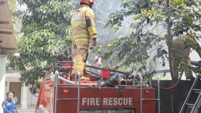 Bakar Tunggak Kayu Ditinggal Pergi, Tumpukan Kayu di Mojo Ikut Terbakar