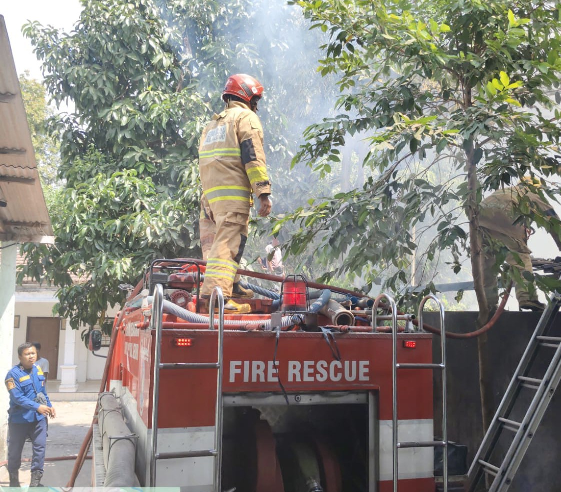 Bakar Tunggak Kayu Ditinggal Pergi, Tumpukan Kayu di Mojo Ikut Terbakar