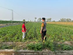 Dukung Ketahanan Pangan, Polsek Plemahan Perkuat Pendampingan Kelompok Tani di Desa Mejono