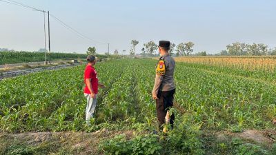 Dukung Ketahanan Pangan, Polsek Plemahan Perkuat Pendampingan Kelompok Tani di Desa Mejono