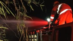 Rumpun Bambu Terbakar, Diduga Dipicu Puntung Rokok yang Dibuang Sembarangan