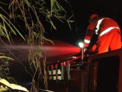 Rumpun Bambu Terbakar, Diduga Dipicu Puntung Rokok yang Dibuang Sembarangan