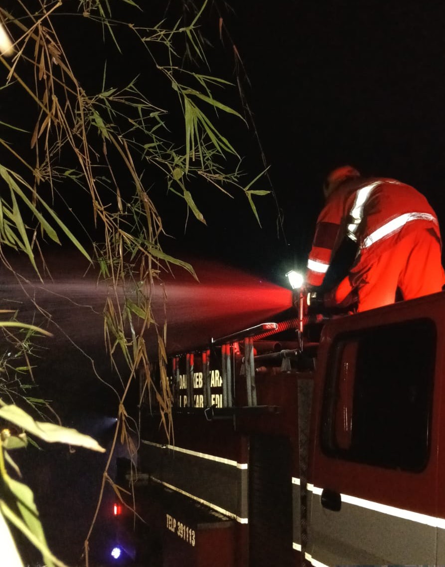 Rumpun Bambu Terbakar, Diduga Dipicu Puntung Rokok yang Dibuang Sembarangan