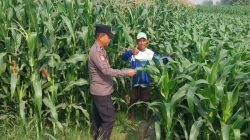 Polsek Kunjang Sambangi Kelompok Tani Kapas, Perkuat Dukungan Ketahanan Pangan