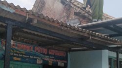 Sarang Tawon Ndas Sebesar Karung Dievakuasi Petugas Damkar di Papar