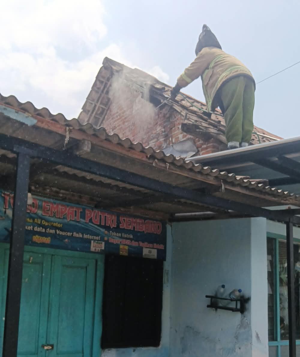 Sarang Tawon Ndas Sebesar Karung Dievakuasi Petugas Damkar di Papar
