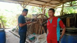 Sapi Bantuan Program UPPO Poktan Bina Usaha Mandiri Nganjuk Hilang, Tersisa Kandang